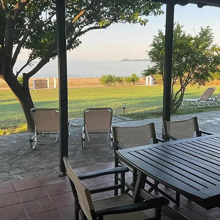 Totti * 伊里斯斯